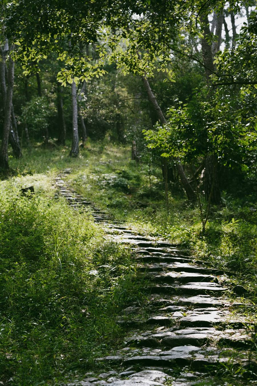 Breaking Habits That No Longer Serve You